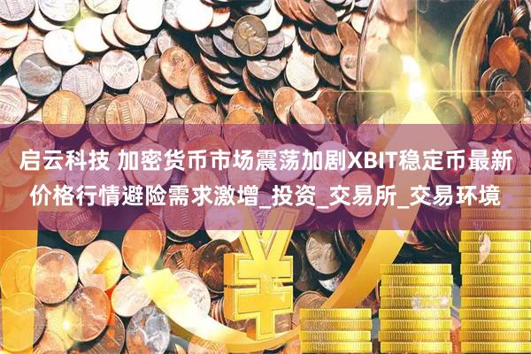 启云科技 加密货币市场震荡加剧XBIT稳定币最新价格行情避险需求激增_投资_交易所_交易环境