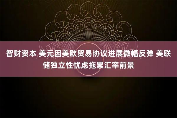 智财资本 美元因美欧贸易协议进展微幅反弹 美联储独立性忧虑拖累汇率前景
