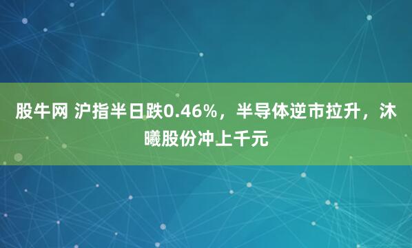 股牛网 沪指半日跌0.46%，半导体逆市拉升，沐曦股份冲上千元